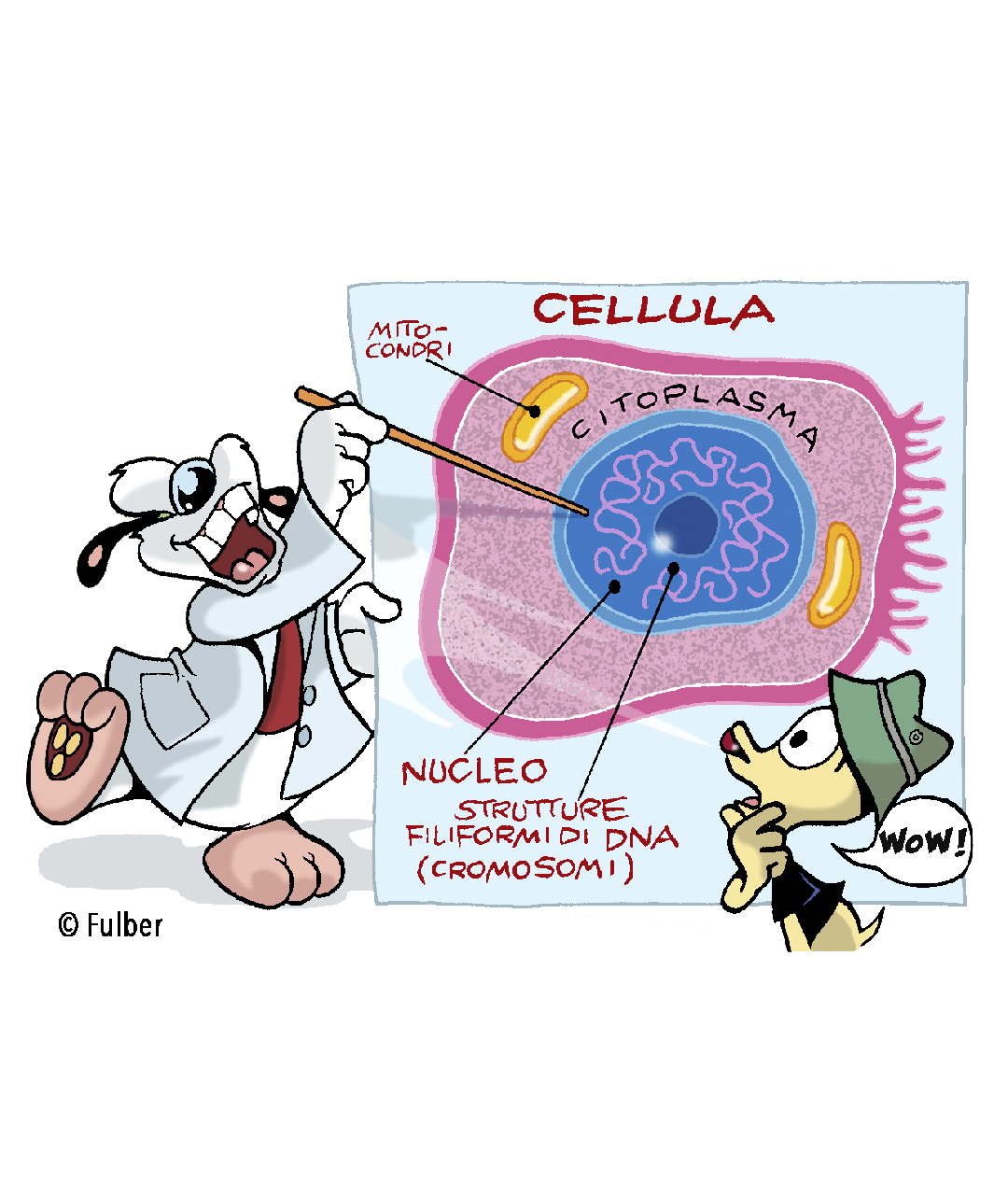 CIBIO GARY DNA SCIENZE FULBER